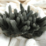 170732977_116490657137166_3067506033296353085_n