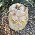 311598588_861551945254264_2707597391708375055_n